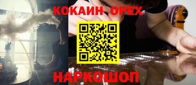 шишки Дубна