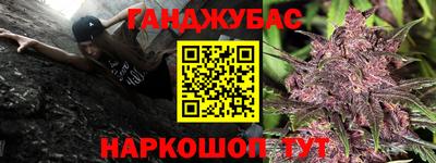 шишки Дубна