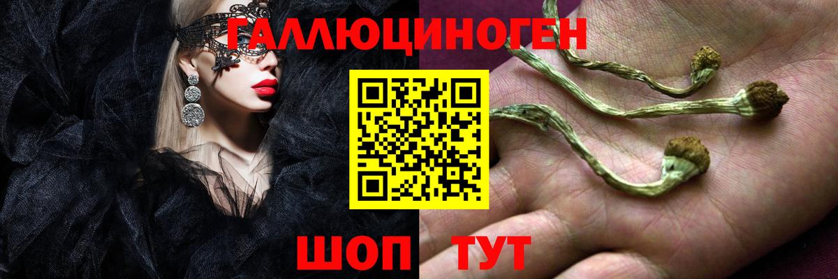магазин продажи наркотиков  Псилоцибиновые грибы MAGIC MUSHROOMS  Вход с VPN  Лосино-Петровский 